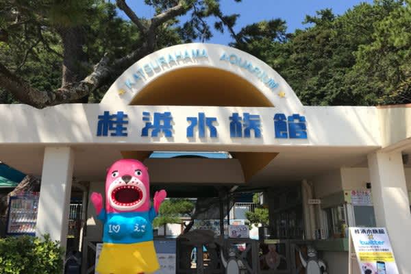  客1人しかいない水族館の「衝撃投稿」が話題　その悲しすぎる理由とは